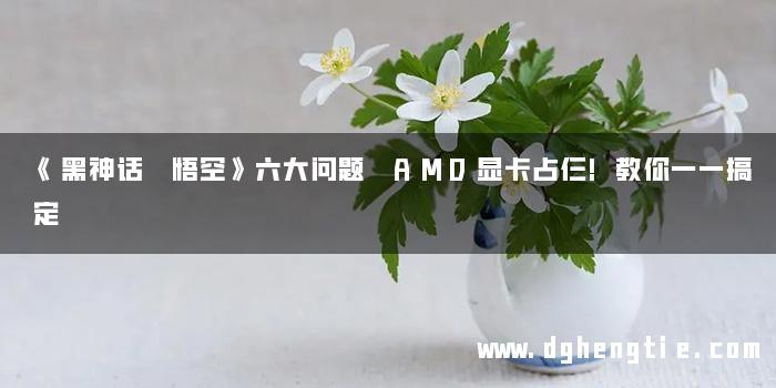 《黑神话 悟空》六大问题 AMD显卡占仨!教你一一搞定